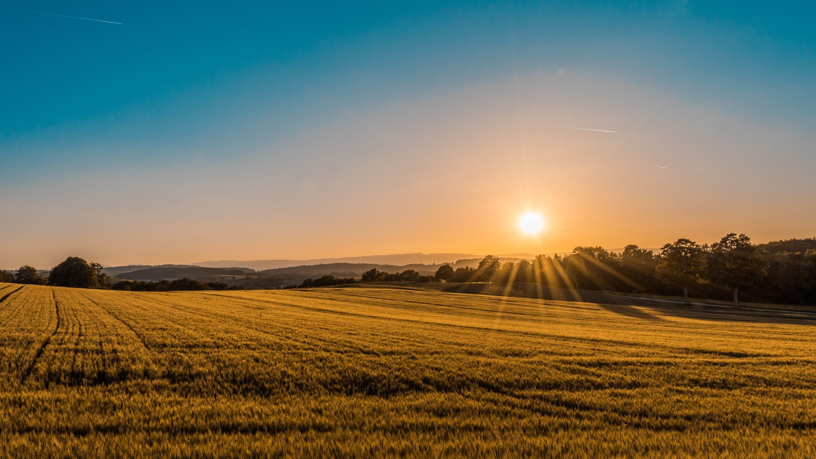 Suplementação de vitamina D: faz sentido para todo mundo?
